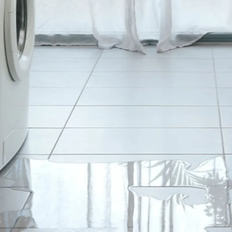 Appliance Leak Cleanup in Naples, TX