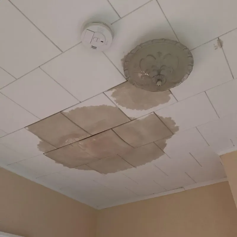 Ceiling Water Damage Repair in Naples, TX
