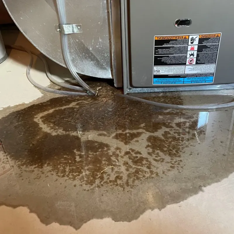 Pipe Burst and Leak Restoration in Naples, TX