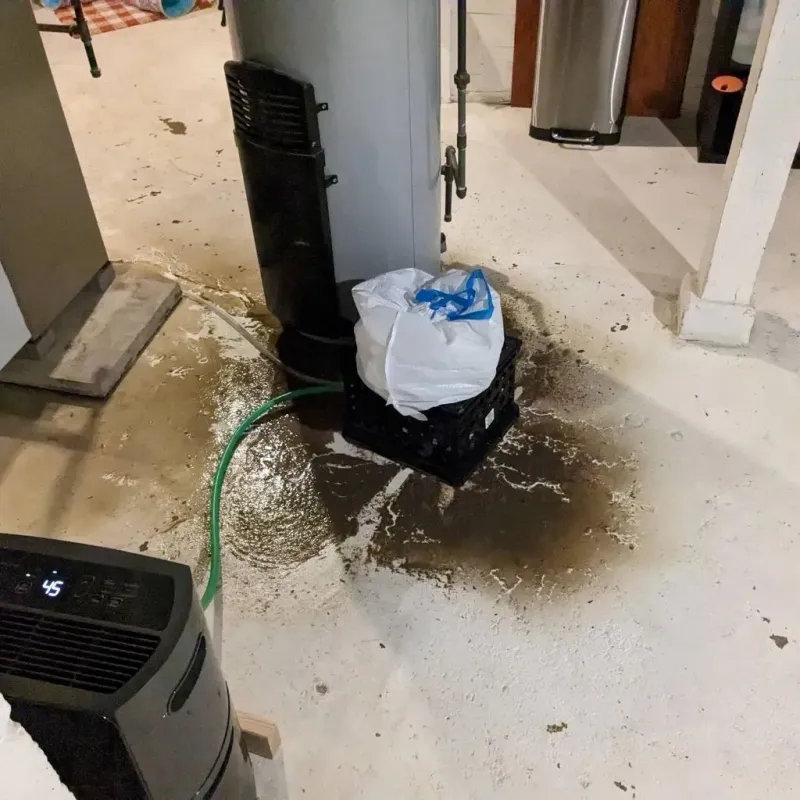 Sewage Backup Cleanup Service in Naples, TX